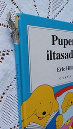 Pikkukuva