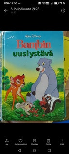 Pikkukuva