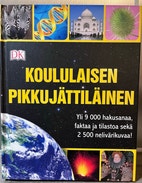 Pikkukuva