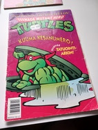 Pikkukuva