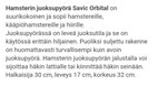 Pikkukuva