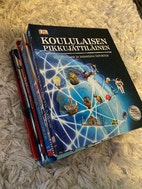 Pikkukuva