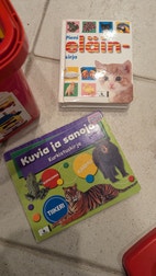 Pikkukuva