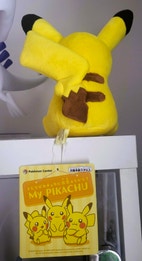 Pikkukuva
