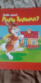 Pikkukuva