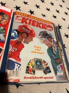 Pikkukuva