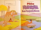 Pikkukuva
