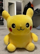 Pikkukuva