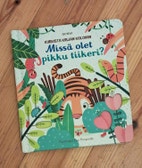 Pikkukuva