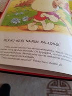 Pikkukuva