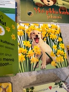 Pikkukuva