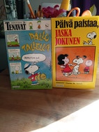 Pikkukuva