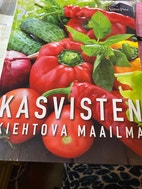 Pikkukuva