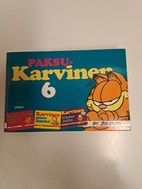 Pikkukuva