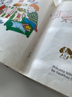 Pikkukuva