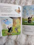 Pikkukuva