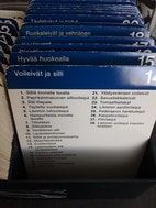 Pikkukuva