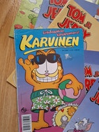 Pikkukuva