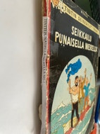 Pikkukuva
