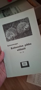 Pikkukuva
