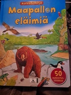Pikkukuva