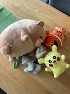 Pikkukuva