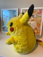 Pikkukuva