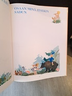 Pikkukuva