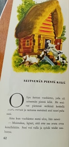 Pikkukuva