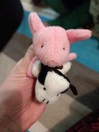 Pikkukuva