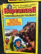 Pikkukuva