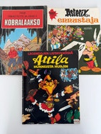 Pikkukuva