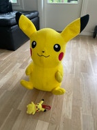 Pikkukuva