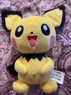Pikkukuva