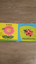 Pikkukuva