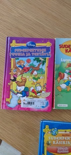 Pikkukuva