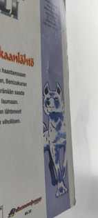 Pikkukuva