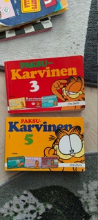 Pikkukuva