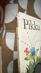 Pikkukuva