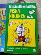 Pikkukuva