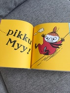 Pikkukuva