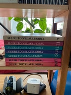 Pikkukuva