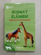 Pikkukuva
