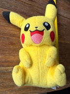 Pikkukuva