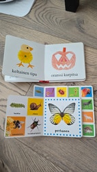 Pikkukuva