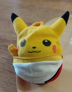 Pikkukuva