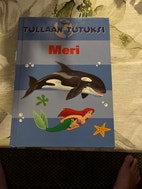 Pikkukuva