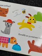 Pikkukuva