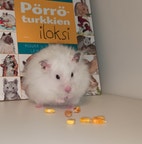 Pikkukuva