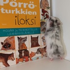Pikkukuva